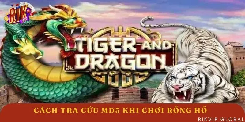 Hình thức tra cứu MD5 khi chơi Rồng Hổ